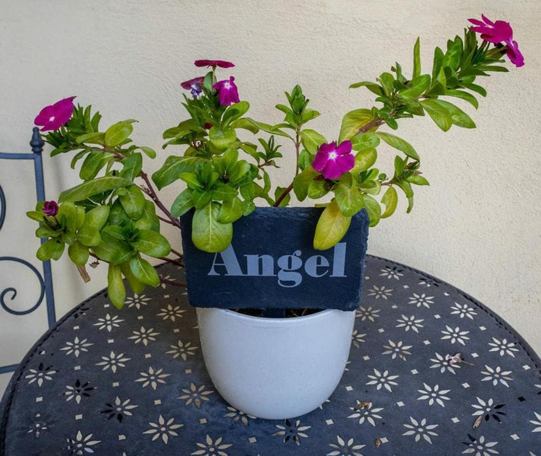 Angel @ Aragon Court Apartment Marsascala Luaran gambar